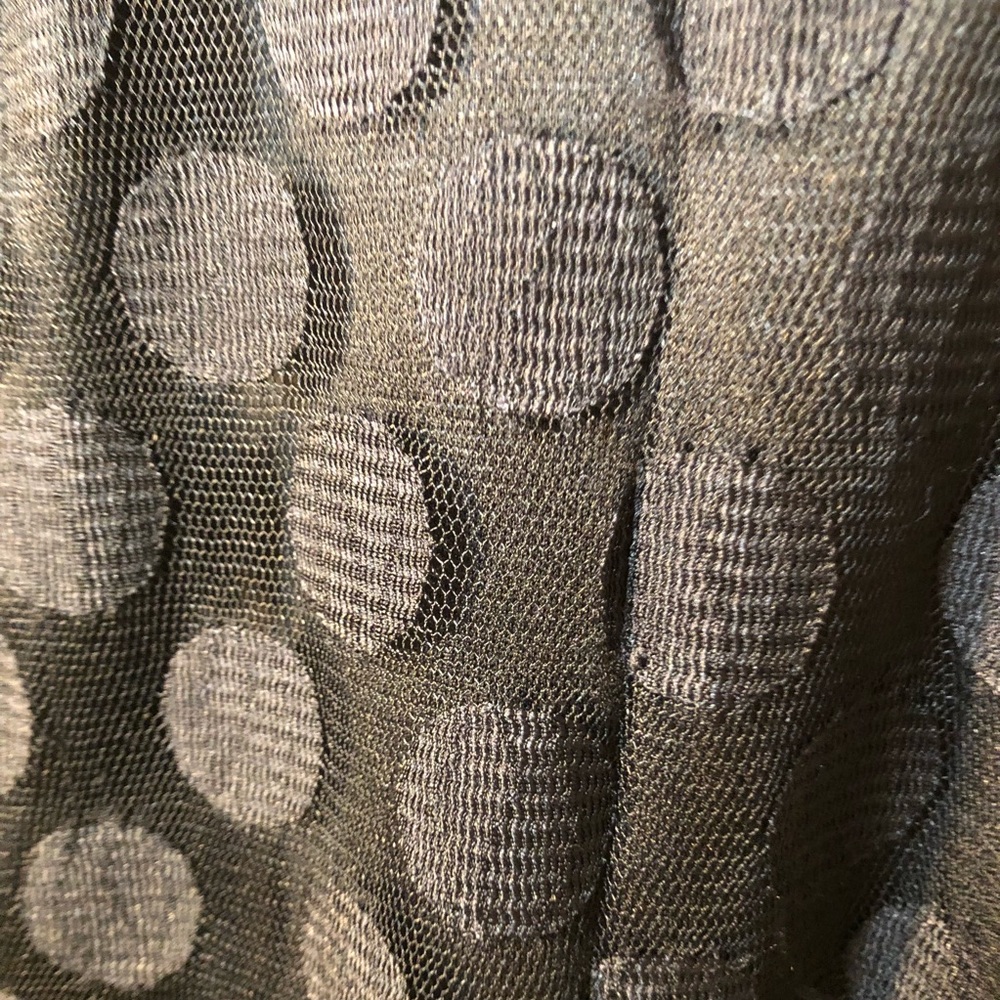 Black Dress with Polka Dot Overlay - Picture 3 of 3